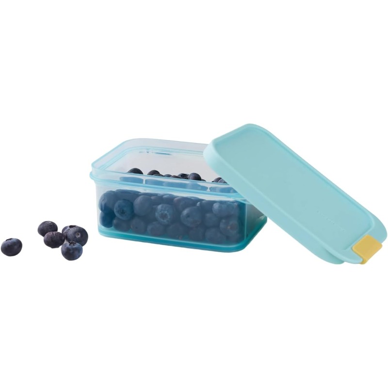Meal Prep Fit - Plastic vriescontainers | Stapelbare voedselopslag voor